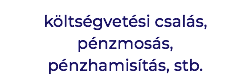 költségvetési csalás, pénzmosás, pénzhamisítás, stb.